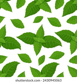 Patrón sin fisuras con hojas de menta verde frescas.Gráficos vectoriales.