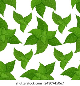 Seamless pattern with fresh, green mint leaves.Vector graphics.