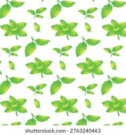 Seamless pattern with fresh green mint leaves and peppermint sprigs on white background in hand drawn style