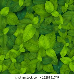 Seamless pattern with fresh green realistic leaves. Spring or summer vector background concept