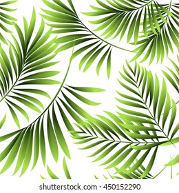 Patrón transparente de hojas de palmera tropicales verdes frescas