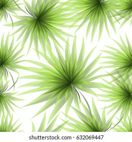 Seamless pattern with fresh green tropical palm tree leaves and branches on a white background