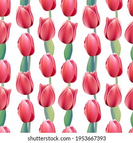 Seamless pattern with fresh red and pink tulips. Floral elements in endless texture. Illustration can be used for romantic and spring design projects.