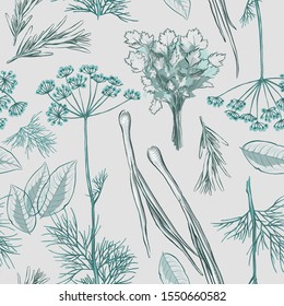Seamless pattern. Fresh spices. Herbs. Nature seasoning greens. Kitchen ingredients. Leek, dill, rosemary, bay leaves, parsley. Drawing in light green pastel colors on a gray background. Vector.