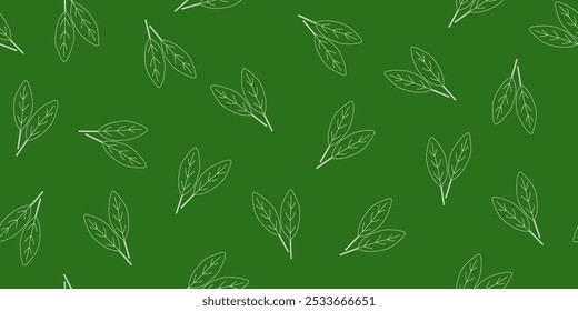 Patrón sin fisuras con hojas de espinaca fresca contornos sobre fondo verde oscuro, Vector