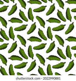 Seamless pattern with fresh tasty cucumbers on white background. Vector image.
