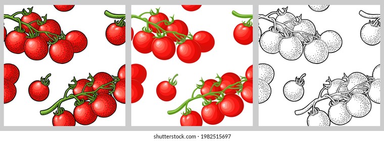 Patrón sin foco fresco de tomate entero y ramificado. Aislado sobre el fondo blanco. Grabado vintage de color vectorial e ilustración plana para menú y etiqueta