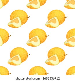 Seamless pattern with fresh whole and cut slice melon fruit on white background. Honeydew melon. Summer fruits for healthy lifestyle. Organic fruit. Vector illustration for any design.