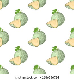 Patrón inoxidable con fruta entera fresca, cortada en trozos de melón aislada sobre fondo blanco. Melón cantaloupe. Frutas de verano para un estilo de vida saludable. Estilo de caricatura. Ilustración vectorial para cualquier diseño.