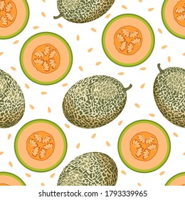 seamless pattern with fresh whole, half melon fruit isolated on white background, cantaloupe melon, summer fruits print, vector illustration for any design