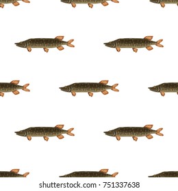 Seamless pattern freshwater flat pike fish isolated on white background. Marine fresh food logo, fishing sport