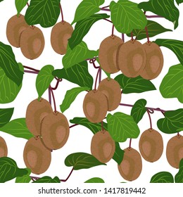 Seamless pattern fruit kiwi tree on white background, Vector illustration