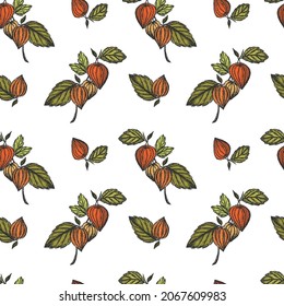 Patrón sin foco con frutos de fisalis chinos. Ilustración de esbozo dibujada a mano de color. Elementos de diseño para tela, papel envolvente, fondo y textil.