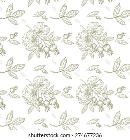 Seamless pattern with fruits and flowers of wild rose