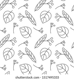 Seamless pattern. Fruits and leaves of Linden, vector illustration. Black and white drawing