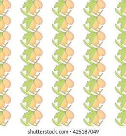 Seamless pattern with fruits. Mango.  Bright vector background for your design.