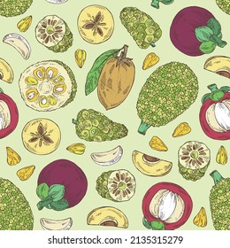 Seamless pattern with fruits: morinda, noni fruit, sapodilla, jackfruit and mangosteen fruit. Vector hand drawn illustration.