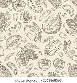 Seamless pattern with fruits: morinda, noni fruit, pepino, melon pear, durian, sapodilla. Vector hand drawn illustration.