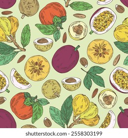 Seamless pattern with fruits: passion fruit, persimmon, medlar japanese and longan. Vector hand drawn illustration.