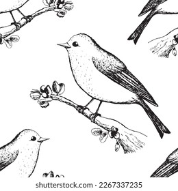 Patrón sin foco con aves divertidas, flores, hojas. Ilustración vectorial plana con silueta de pájaro caricaturizado. Caracteres de corte. Diseño para invitación, afiche, tarjeta, textil, tela.