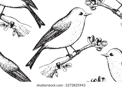Patrón sin foco con aves divertidas, flores, hojas. Ilustración vectorial plana con silueta de pájaro caricaturizado. Caracteres de corte. Diseño para invitación, afiche, tarjeta, textil, tela.