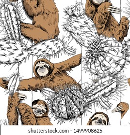 Seamless pattern. Funny brown Sloth and a Cactus plants. Textile composition, hand drawn style print. Vector illustration.