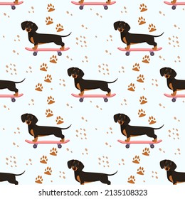 Seamless pattern with funny dogs. Dachshund on a skateboard. Cartoon design.