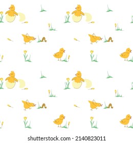 Seamless pattern of funny yellow chickens and grass. Vector illustration in hand-drawn style on a white background for decor, wallpaper, postcards and wrapping paper