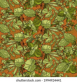 Seamless pattern with garden herbs on terra cotta background