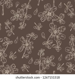 Seamless pattern with garden purslane: purslane flowering branch and leaves. Portulaca. Cosmetic and medical plant. Vector hand drawn illustration