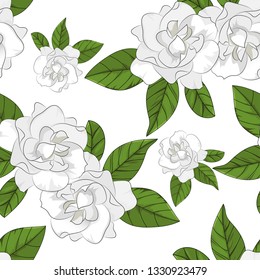 seamless pattern of gardenia flower with leaf on white background in vector