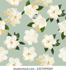 A seamless pattern of Gardenia flower. vector illustation. Gardenia flower background.