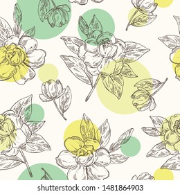Seamless pattern with gardenia: gardenia flowers, bud and leaves. Cosmetic, perfumery and medical plant. Vector hand drawn illustration