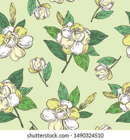 Seamless pattern with gardenia: gardenia flowers, bud and leaves. Cosmetic, perfumery and medical plant. Vector hand drawn illustration