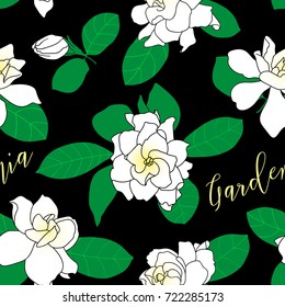Seamless pattern with Gardenia jasminoides, cape jasmine, danh-danh.