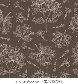 Seamless pattern with gardenia taitensis: tiare plant, leaves and gardenia taitensis flowers. Gardenia tahitian, tiare tree flower . Cosmetic, perfumery and medical plant. Vector hand drawn