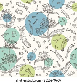 Seamless pattern with gentiana macrophylla: large leaf gentian plant, leaves, gentian flowers and gentiana macrophylla root. Cosmetic, perfumery and medical plant. Vector hand drawn illustration.