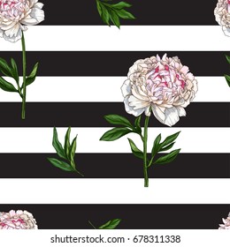 Seamless pattern with gently pink peony flower isolated on black and white striped background. Vector