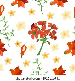 Seamless pattern with geranium flowers