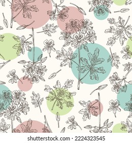 Nahtloses Muster mit Geranium: Geranenpflanzen, Blätter und Geranenblumen. Pelargoniumgraveolen. Kosmetik, Parfüm und medizinische Anlagen. handgezeichnete Vektorgrafik