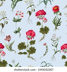 Patrón sin foco con geranios y flores silvestres. Impresión vectorial floral de moda