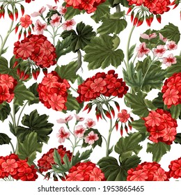 Seamless pattern with geraniums and wild flowers. Trendy floral vector print