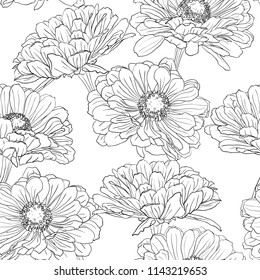 Seamless pattern with gerbera flowers hand-drawn in black and white on a white background. Vector natural monochrome outline illustration