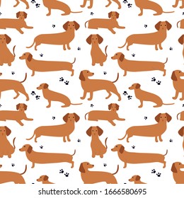 Seamless pattern with German badger-dog, dachshund. Cute cartoon character. Animal print.