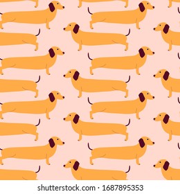 Seamless pattern with German badger-dog, dachshund. Cute cartoon character. Animal print.