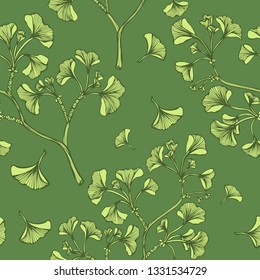 Seamless pattern  of Ginkgo Biloba branch in green for  Template on the theme of medicinal plants or botanical illustration or  for decoration different things