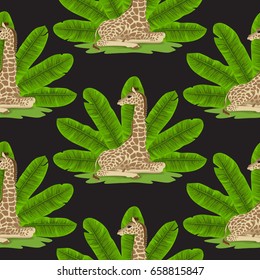 Seamless pattern of giraffe and banana green leaves fan isolated on black. Tropical wallpaper, textile print, exotic background.