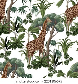 Seamless pattern with giraffe and jungle trees. Vector