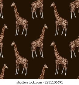 Seamless pattern with giraffe. Vector