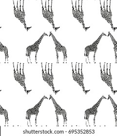 Seamless pattern of giraffes in black spots on a transparent background.
